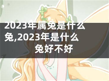 2023年属兔是什么兔,2023年是什么兔好不好