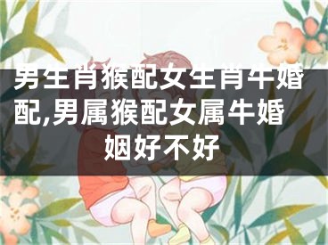 男生肖猴配女生肖牛婚配,男属猴配女属牛婚姻好不好