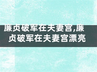 廉贞破军在夫妻宫,廉贞破军在夫妻宫漂亮