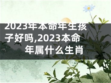 2023年本命年生孩子好吗,2023本命年属什么生肖