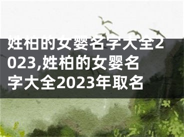 姓柏的女婴名字大全2023,姓柏的女婴名字大全2023年取名