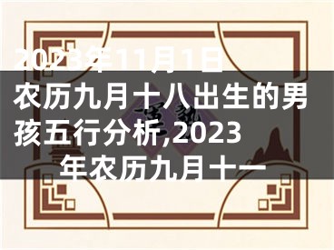 2023年11月1日农历九月十八出生的男孩五行分析,2023年农历九月十一