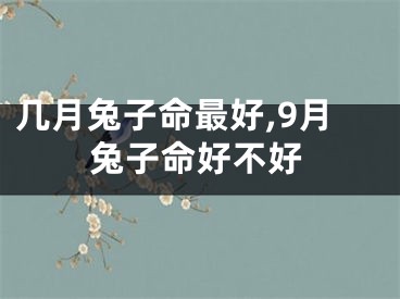 几月兔子命最好,9月兔子命好不好