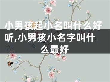 小男孩起小名叫什么好听,小男孩小名字叫什么最好