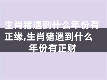 生肖猪遇到什么年份有正缘,生肖猪遇到什么年份有正财