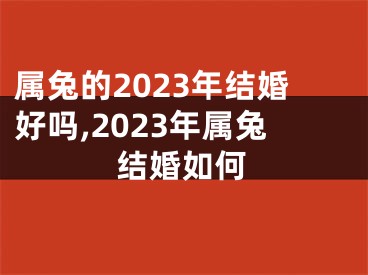 属兔的2023年结婚好吗,2023年属兔结婚如何