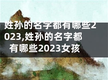 姓孙的名字都有哪些2023,姓孙的名字都有哪些2023女孩