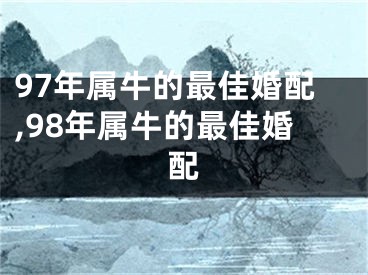 97年属牛的最佳婚配,98年属牛的最佳婚配