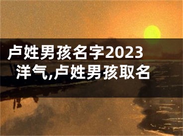 卢姓男孩名字2023洋气,卢姓男孩取名