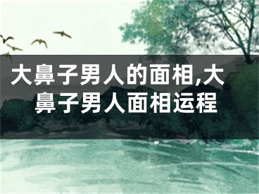 大鼻子男人的面相,大鼻子男人面相运程