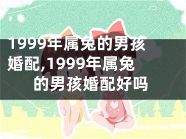 1999年属兔的男孩婚配,1999年属兔的男孩婚配好吗