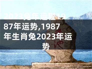 2023兔年运程1987年运势,1987年生肖兔2023年运势