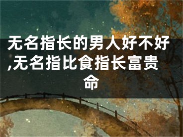 无名指长的男人好不好,无名指比食指长富贵命