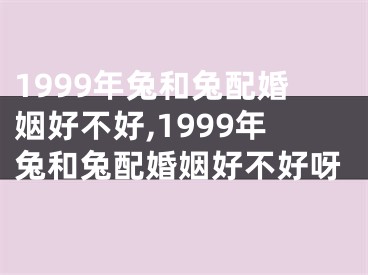 1999年兔和兔配婚姻好不好,1999年兔和兔配婚姻好不好呀