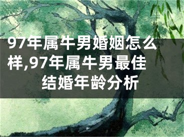 97年属牛男婚姻怎么样,97年属牛男最佳结婚年龄分析