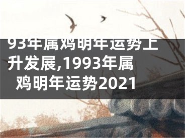 93年属鸡明年运势上升发展,1993年属鸡明年运势2021