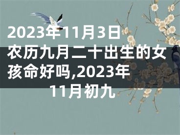 2023年11月3日农历九月二十出生的女孩命好吗,2023年11月初九