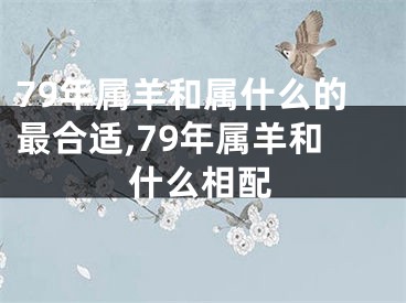 79年属羊和属什么的最合适,79年属羊和什么相配