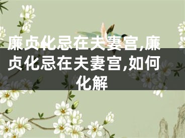 廉贞化忌在夫妻宫,廉贞化忌在夫妻宫,如何化解