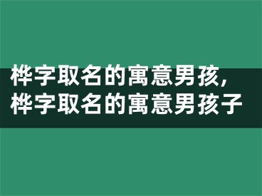 桦字取名的寓意男孩,桦字取名的寓意男孩子