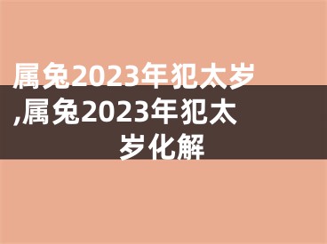 属兔2023年犯太岁,属兔2023年犯太岁化解