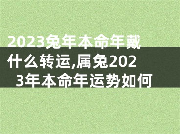 2023兔年本命年戴什么转运,属兔2023年本命年运势如何