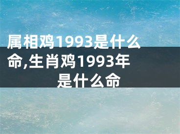 属相鸡1993是什么命,生肖鸡1993年是什么命