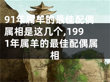 91年属羊的最佳配偶属相是这几个,1991年属羊的最佳配偶属相