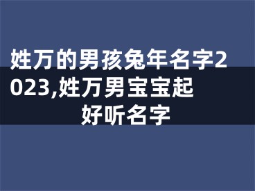 姓万的男孩兔年名字2023,姓万男宝宝起好听名字