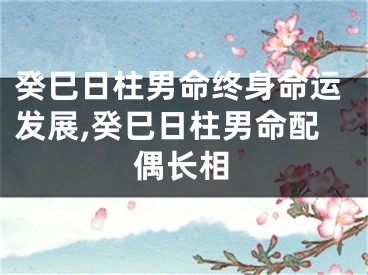 癸巳日柱男命终身命运发展,癸巳日柱男命配偶长相