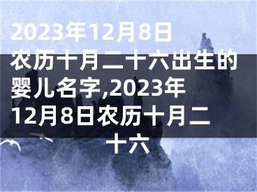 2023年12月8日农历十月二十六出生的婴儿名字,2023年12月8日农历十月二十六