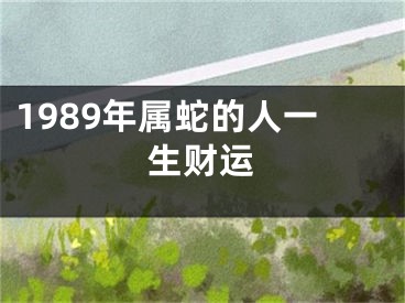 1989年属蛇的人一生财运