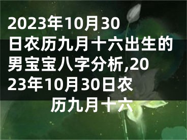 2023年10月30日农历九月十六出生的男宝宝八字分析,2023年10月30日农历九月十六