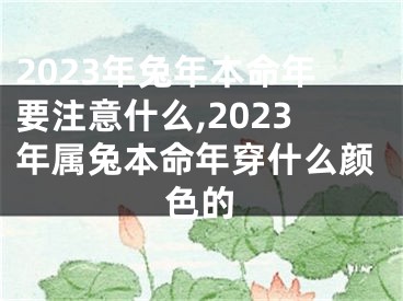 2023年兔年本命年要注意什么,2023年属兔本命年穿什么颜色的