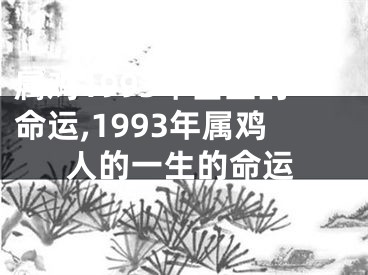 属鸡1993年出生的命运,1993年属鸡人的一生的命运