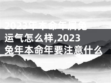 2023年本命年属兔运气怎么样,2023兔年本命年要注意什么