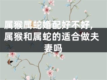 属猴属蛇婚配好不好,属猴和属蛇的适合做夫妻吗