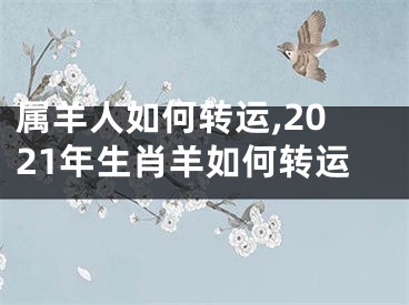 属羊人如何转运,2021年生肖羊如何转运