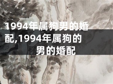 1994年属狗男的婚配,1994年属狗的男的婚配