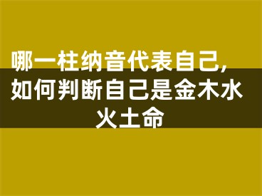 哪一柱纳音代表自己,如何判断自己是金木水火土命