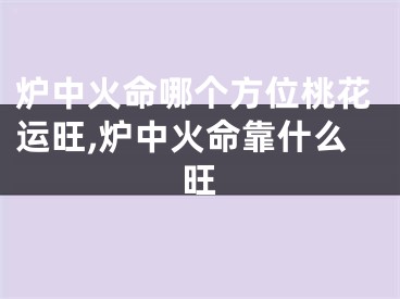 炉中火命哪个方位桃花运旺,炉中火命靠什么旺