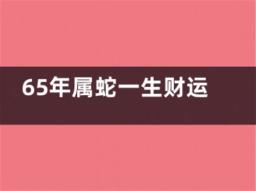 65年属蛇一生财运