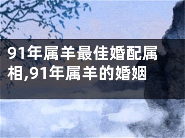 91年属羊最佳婚配属相,91年属羊的婚姻