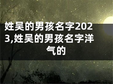 姓吴的男孩名字2023,姓吴的男孩名字洋气的