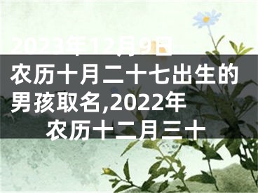 2023年12月9日农历十月二十七出生的男孩取名,2022年农历十二月三十