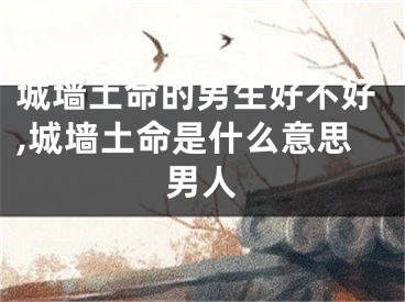 城墙土命的男生好不好,城墙土命是什么意思男人