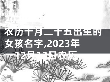 2023年12月7日农历十月二十五出生的女孩名字,2023年12月13日农历