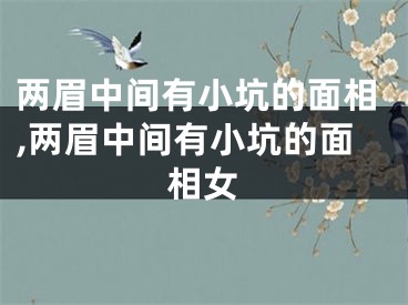 两眉中间有小坑的面相,两眉中间有小坑的面相女