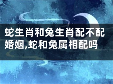 蛇生肖和兔生肖配不配婚姻,蛇和兔属相配吗