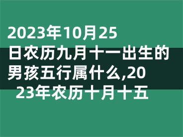 2023年10月25日农历九月十一出生的男孩五行属什么,2023年农历十月十五